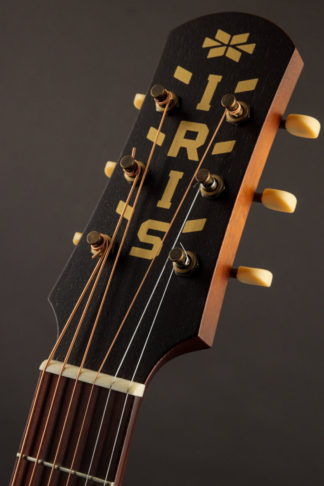 Iris Guitars