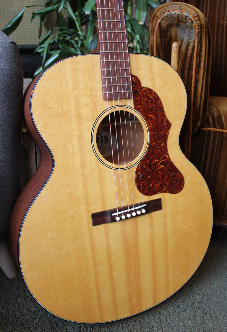 Iris Guitars ND200 Natural Tortoise Bindings Vintagegitar